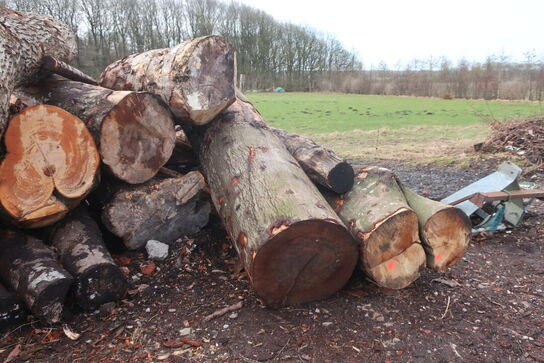Diverse træ til opskæring