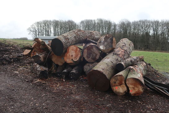 Diverse træ til opskæring