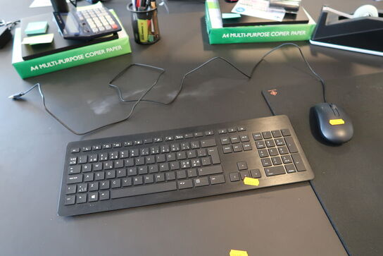 2 stk. computerskærme SAMSUNG S24E650, tastatur, mus, dockingstation