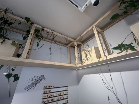 Træsystem inkl. planter og indhold i skab