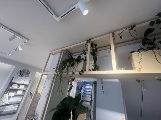 Træsystem inkl. planter og indhold i skab