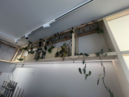 Træsystem inkl. planter og indhold i skab