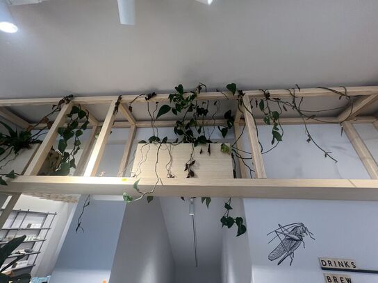 Træsystem inkl. planter og indhold i skab