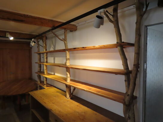 Reolsystem/træplanker (selvbyg)