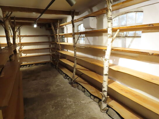 Reolsystem/træplanker (selvbyg)