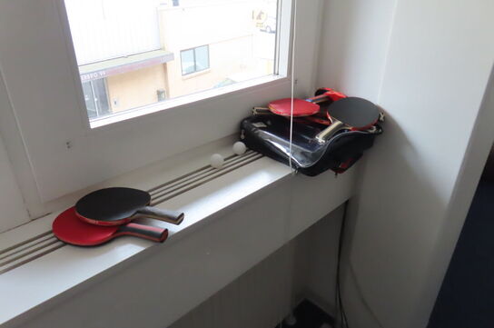 Bordtennisbord samt planter, yogabold mv.