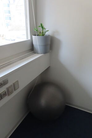 Bordtennisbord samt planter, yogabold mv.