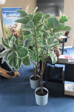 2 stk reoler med indhold samt 2 stk planter