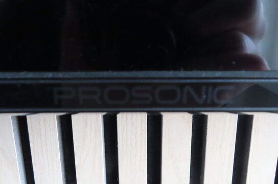 Fladskærm PROSONIC