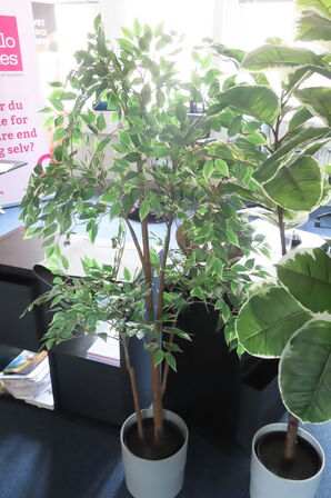 2 stk reoler med indhold samt 2 stk planter