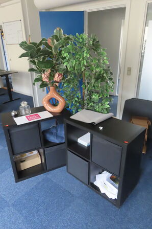 2 stk reoler med indhold samt 2 stk planter