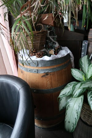 Vintønde CHATEAU ST MICHELLE samt div. Planter i krukke