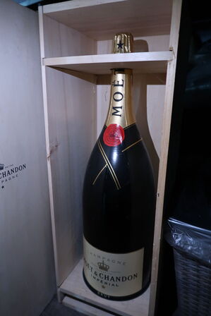 9L magnum champagne MÖET & CHANDON Imperial