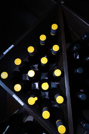 17 flasker rødvin PINOT NOIR DOUDET-NAUDIN