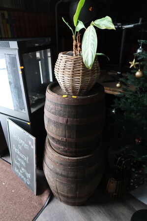 2 stk. vintønder samt plante