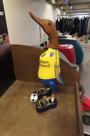 2 kasser hobro fugle