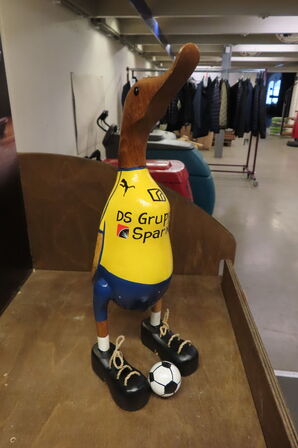 2 kasser hobro fugle