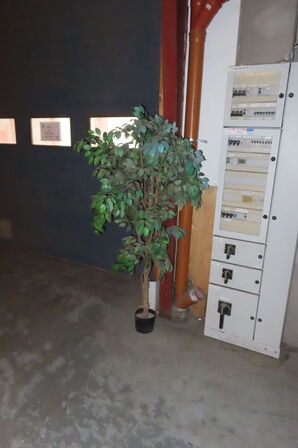 Værkstedsreol + 2 stk. træer/planter 