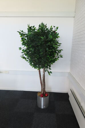 3 stk. Træer/planter 