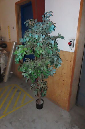 Værkstedsreol + 2 stk. træer/planter 