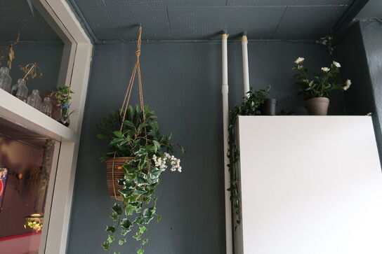 Div. Planter og vaser