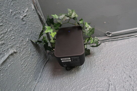 Trådløs højtaler BLUESOUND INTERNATIONAL Pulse Flex 2i