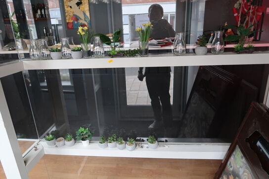 Div. Planter og vaser