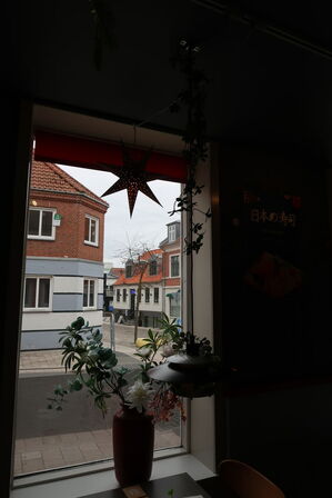 3 stk. pendler med div. Planter