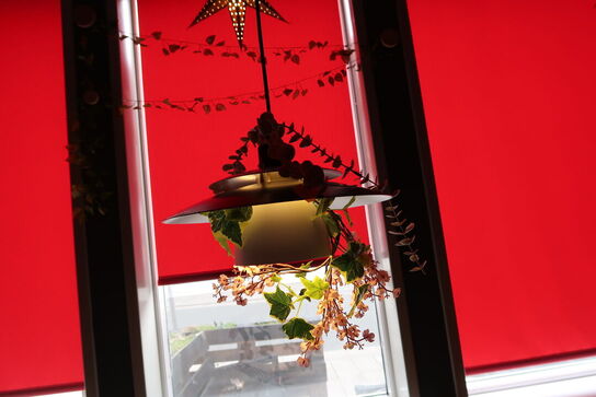 3 stk. pendler med div. Planter