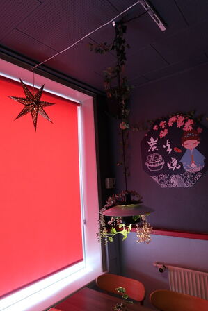 3 stk. pendler med div. Planter