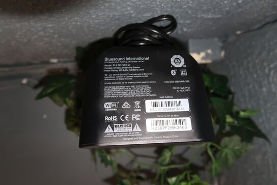 Trådløs højtaler BLUESOUND INTERNATIONAL Pulse Flex 2i