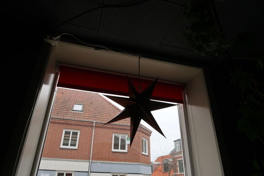 Div. Vaser og planter