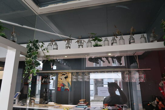 Div. Planter og vaser