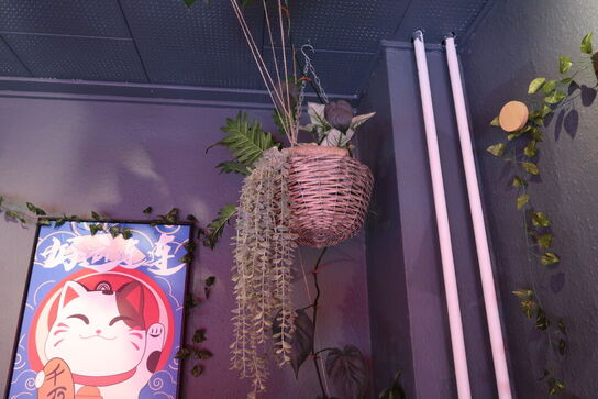 2 stk. planter i krukker