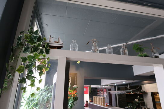 Div. Planter og vaser