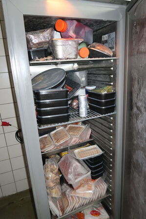 Fryseskab FRENOX BL9-R290 uden indhold