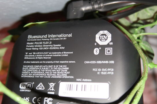 Trådløs højtaler BLUESOUND INTERNATIONAL Pulse Flex 2i