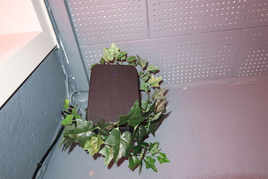 Trådløs højtaler BLUESOUND INTERNATIONAL Pulse Flex 2i