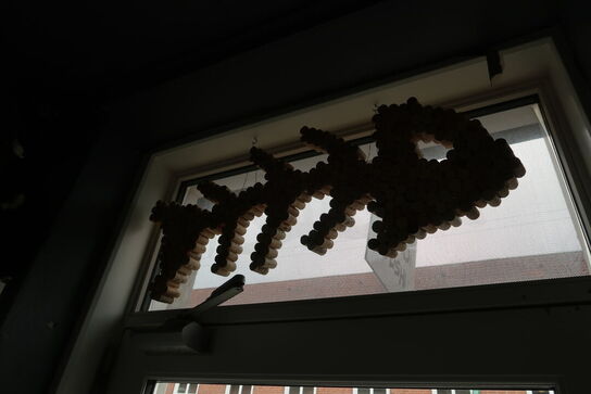 Div. Planter og vaser