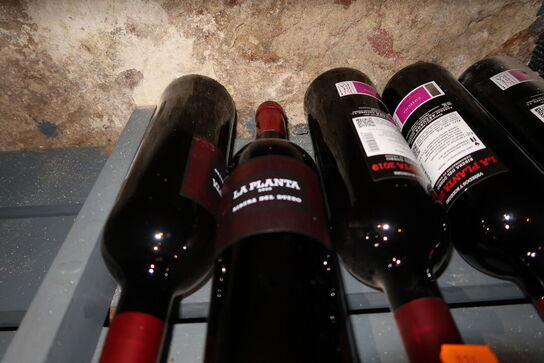 5 flasker rødvin LA PLANTA Ribera Del Duero