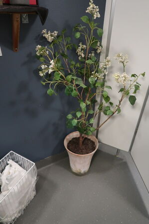 Kunstigplante i krukke samt hylde med indhold