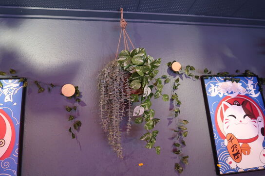 2 stk. plakater samt div. Blomster