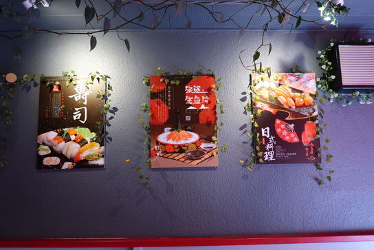 3 stk. plakater samt div. Planter