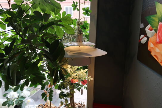 Plante i krukke, plakat samt pendel