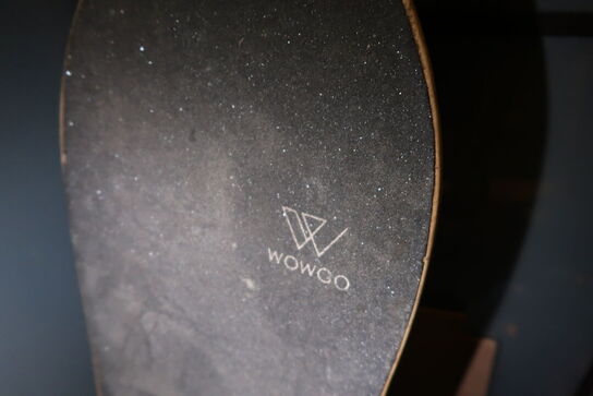 Skateboard WOWGO