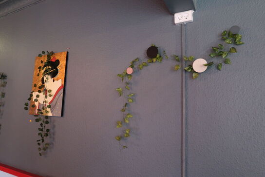 Div. Plakater og blomster