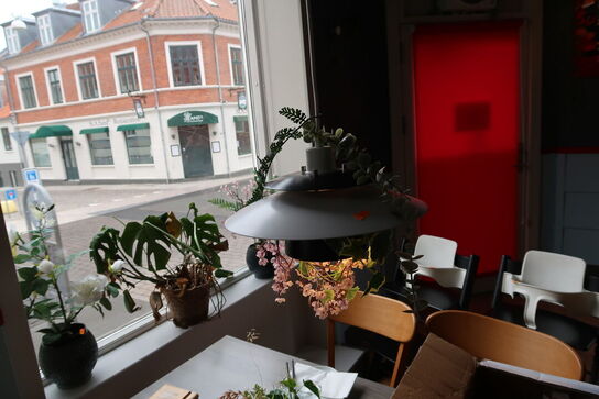 3 stk. pendler med div. Planter