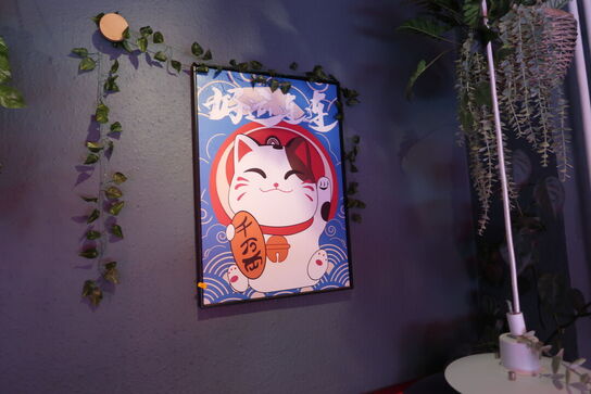 2 stk. plakater samt div. Blomster