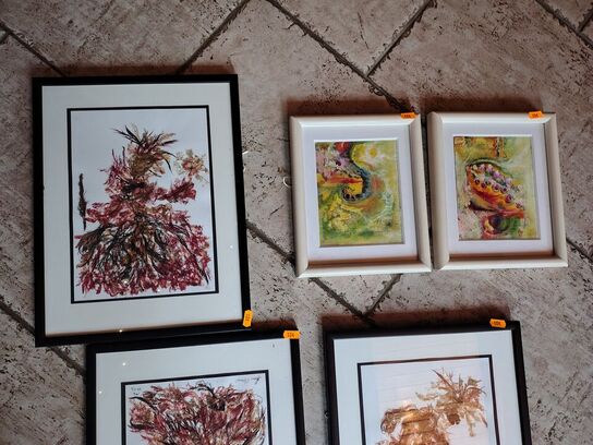 5 Anna Svane billeder