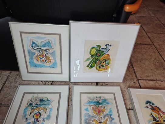 12 Anna Svane billeder